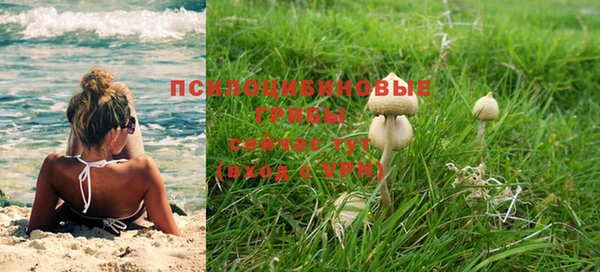 соль ск Абдулино