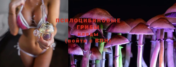 ALPHA PVP Пролетарск